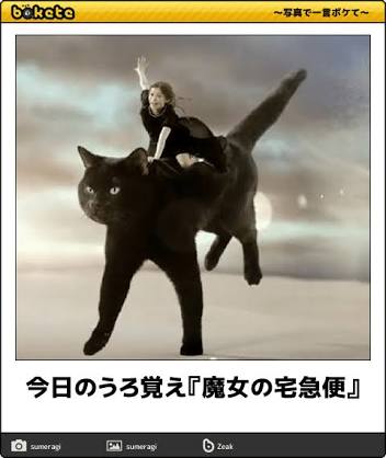 【限定】ジブリのboketeを集めよう