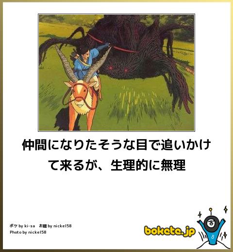 【限定】ジブリのboketeを集めよう