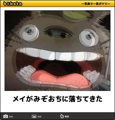 【限定】ジブリのboketeを集めよう