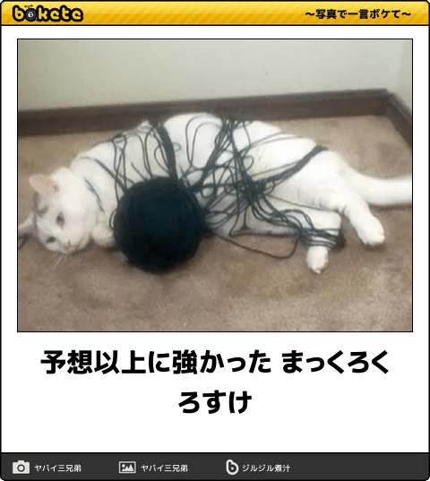 【限定】ジブリのboketeを集めよう