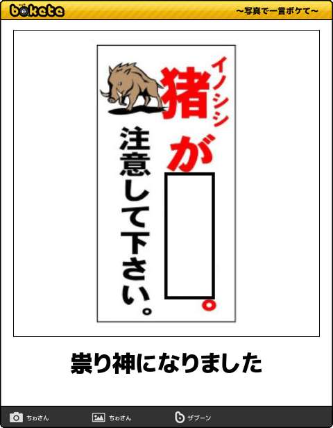 【限定】ジブリのboketeを集めよう