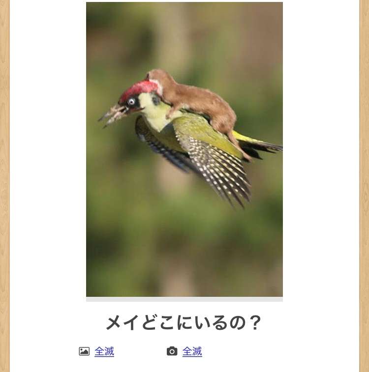 【限定】ジブリのboketeを集めよう