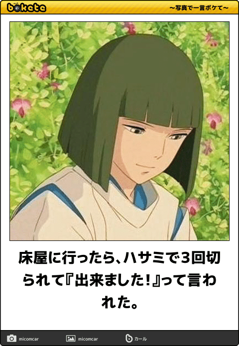 【限定】ジブリのboketeを集めよう