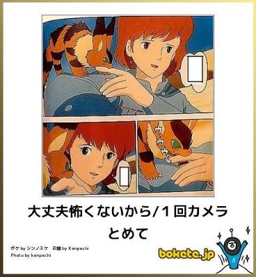 【限定】ジブリのboketeを集めよう