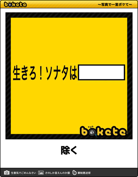 【限定】ジブリのboketeを集めよう