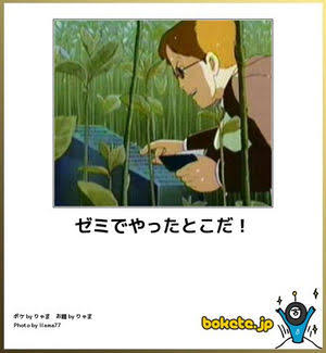 【限定】ジブリのboketeを集めよう