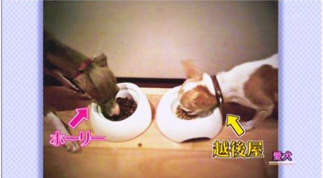 錦戸亮くんが好きな人、語りましょう！