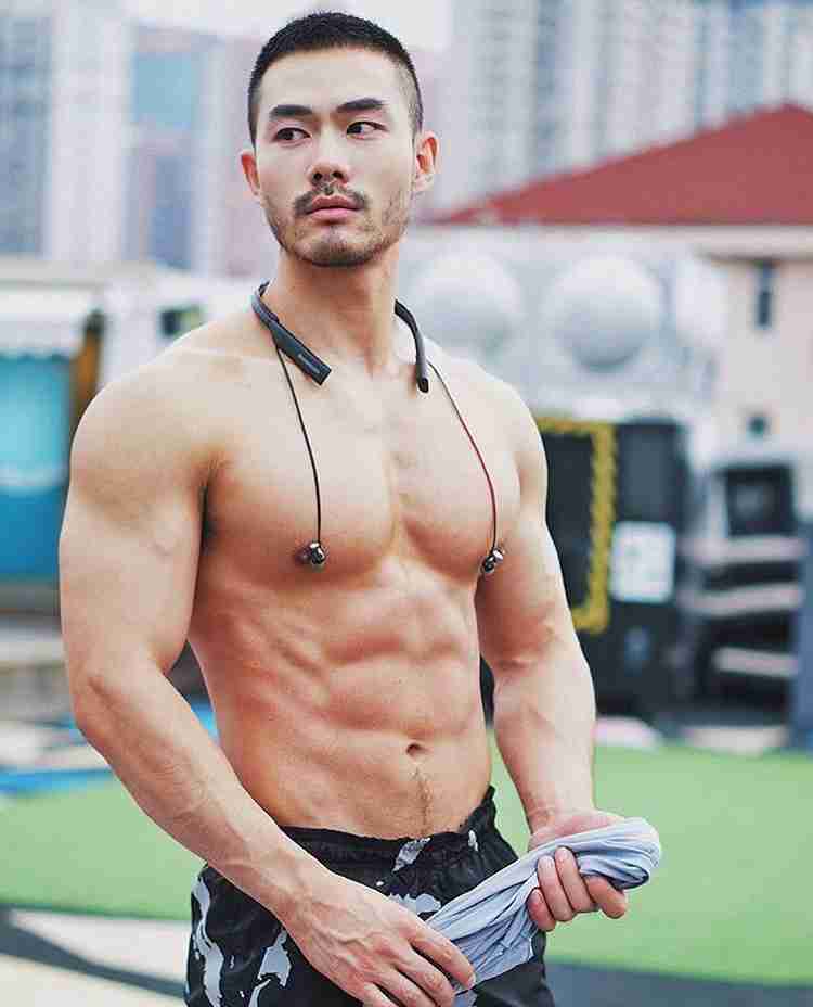 厚い胸板が大好物の人