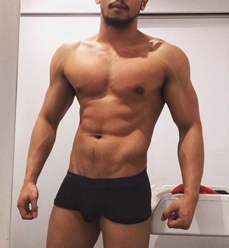 厚い胸板が大好物の人