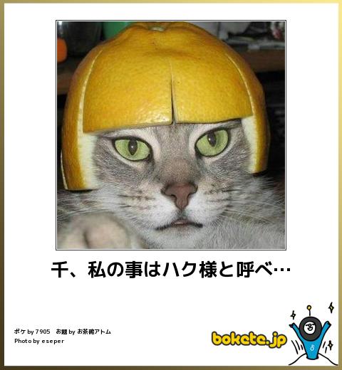 ジブリのセリフを使って会話をするトピ