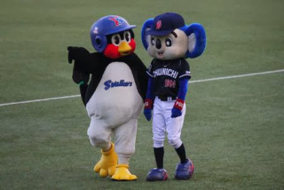 【中日】ドアラ、負傷の右ふくらはぎは肉離れで長期離脱 前半戦絶望