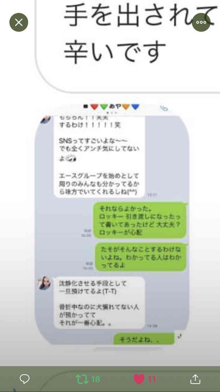 飼い主が投稿した犬の 虐待 動画 拡散きっかけで無事保護 ガールズちゃんねる Girls Channel