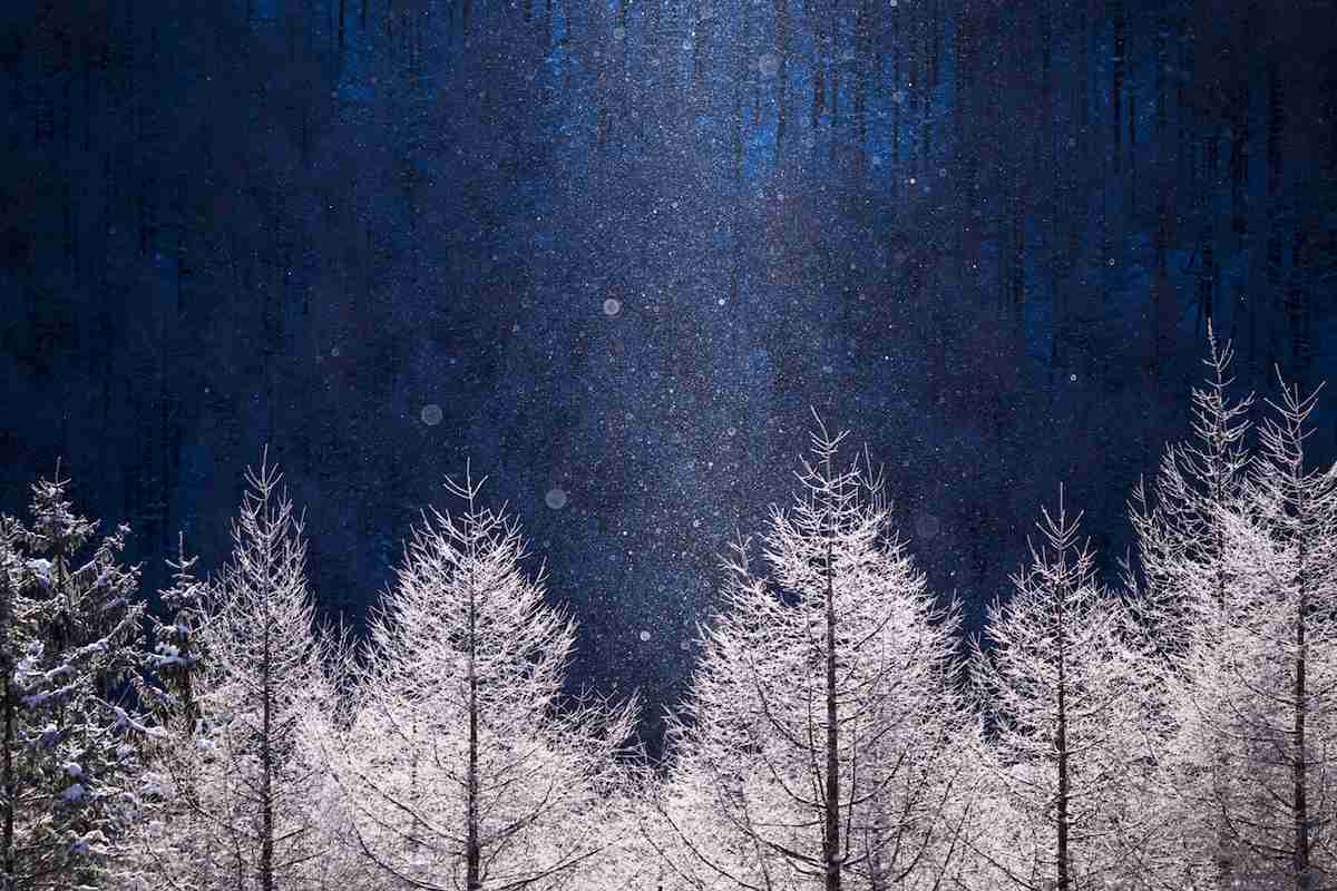 【猛暑対策】冬の画像を嗜むトピ