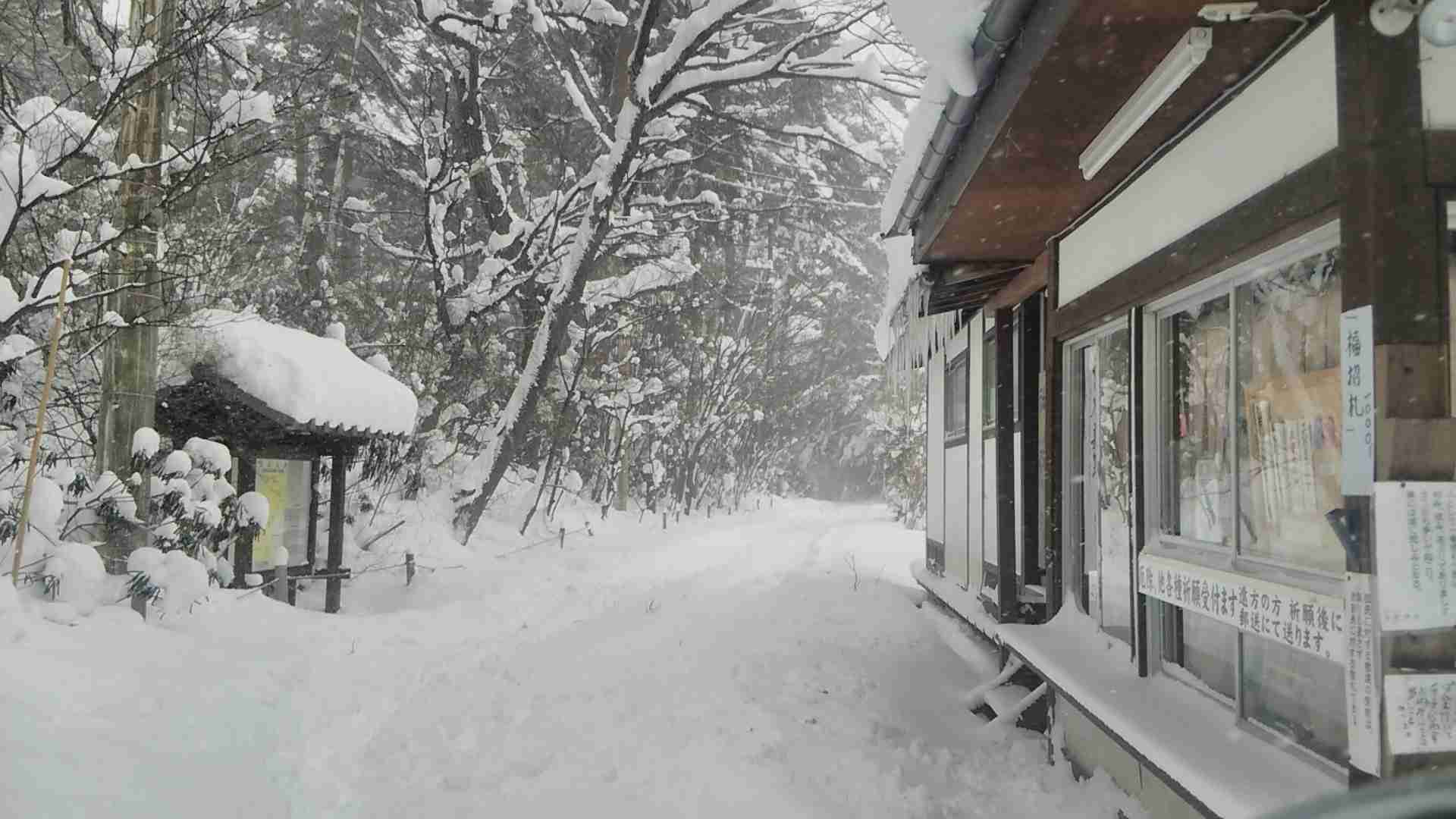 【猛暑対策】冬の画像を嗜むトピ