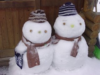 【猛暑対策】冬の画像を嗜むトピ