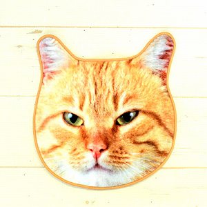 【猫トピ】茶トラが好きな方 part2