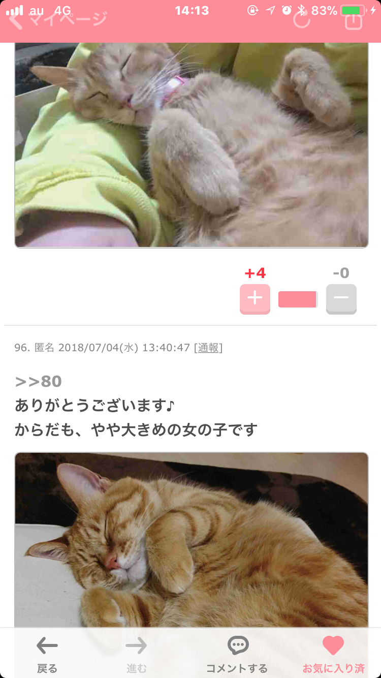 【猫トピ】茶トラが好きな方 part2