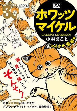 【猫トピ】茶トラが好きな方 part2