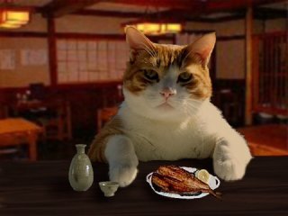 【猫トピ】茶トラが好きな方 part2