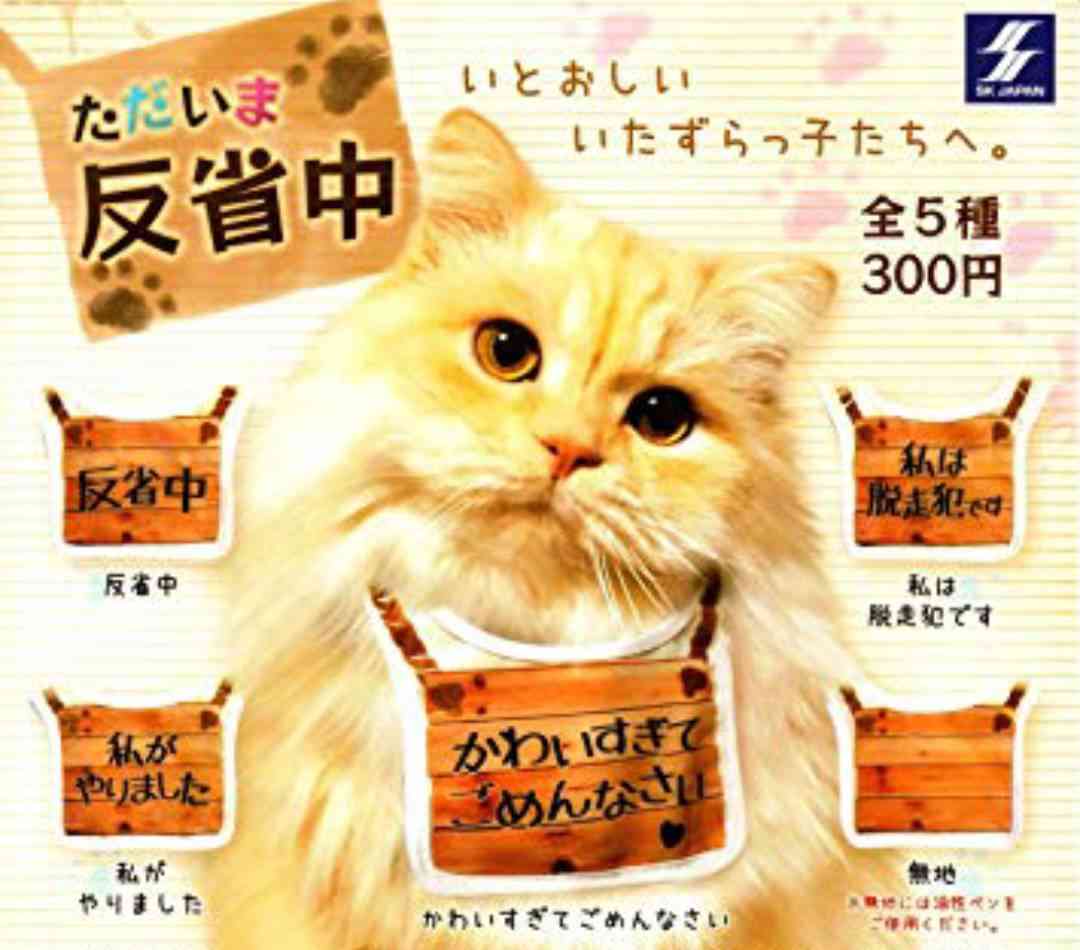【猫トピ】茶トラが好きな方 part2