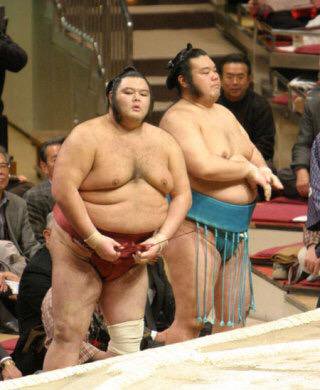 なんとなく似てる画像貼るトピ