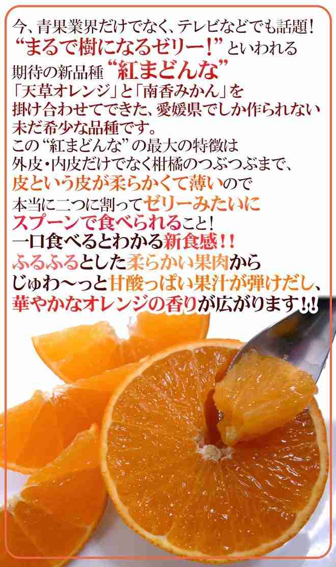 愛媛県あるある&県民大集合