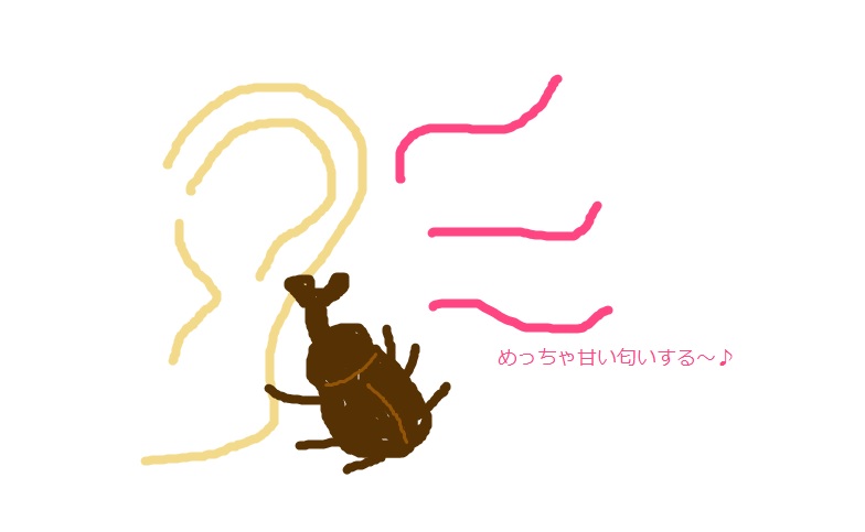 曲のサビの一部分を絵で描いてわかったらプラス part2