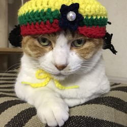 ガルちゃん猫カフェ30号店 開店しました♪ (初めての方も大歓迎！)