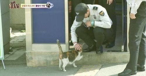 ガルちゃん猫カフェ30号店 開店しました♪ (初めての方も大歓迎！)