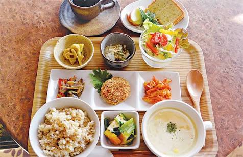 ガルちゃん猫カフェ30号店 開店しました♪ (初めての方も大歓迎！)