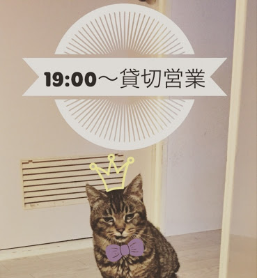 ガルちゃん猫カフェ30号店 開店しました♪ (初めての方も大歓迎！)