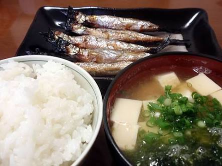 ガルちゃん猫カフェ30号店 開店しました♪ (初めての方も大歓迎！)