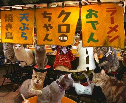 ガルちゃん猫カフェ30号店 開店しました♪ (初めての方も大歓迎！)