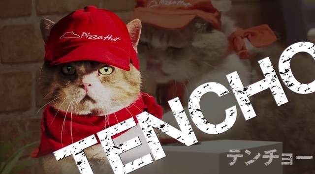 ガルちゃん猫カフェ30号店 開店しました♪ (初めての方も大歓迎！)