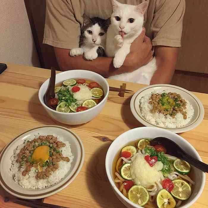 ガルちゃん猫カフェ30号店 開店しました♪ (初めての方も大歓迎！)
