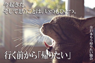 ガルちゃん猫カフェ30号店 開店しました♪ (初めての方も大歓迎！)