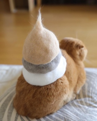 ガルちゃん猫カフェ30号店 開店しました♪ (初めての方も大歓迎！)