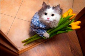 ガルちゃん猫カフェ30号店 開店しました♪ (初めての方も大歓迎！)