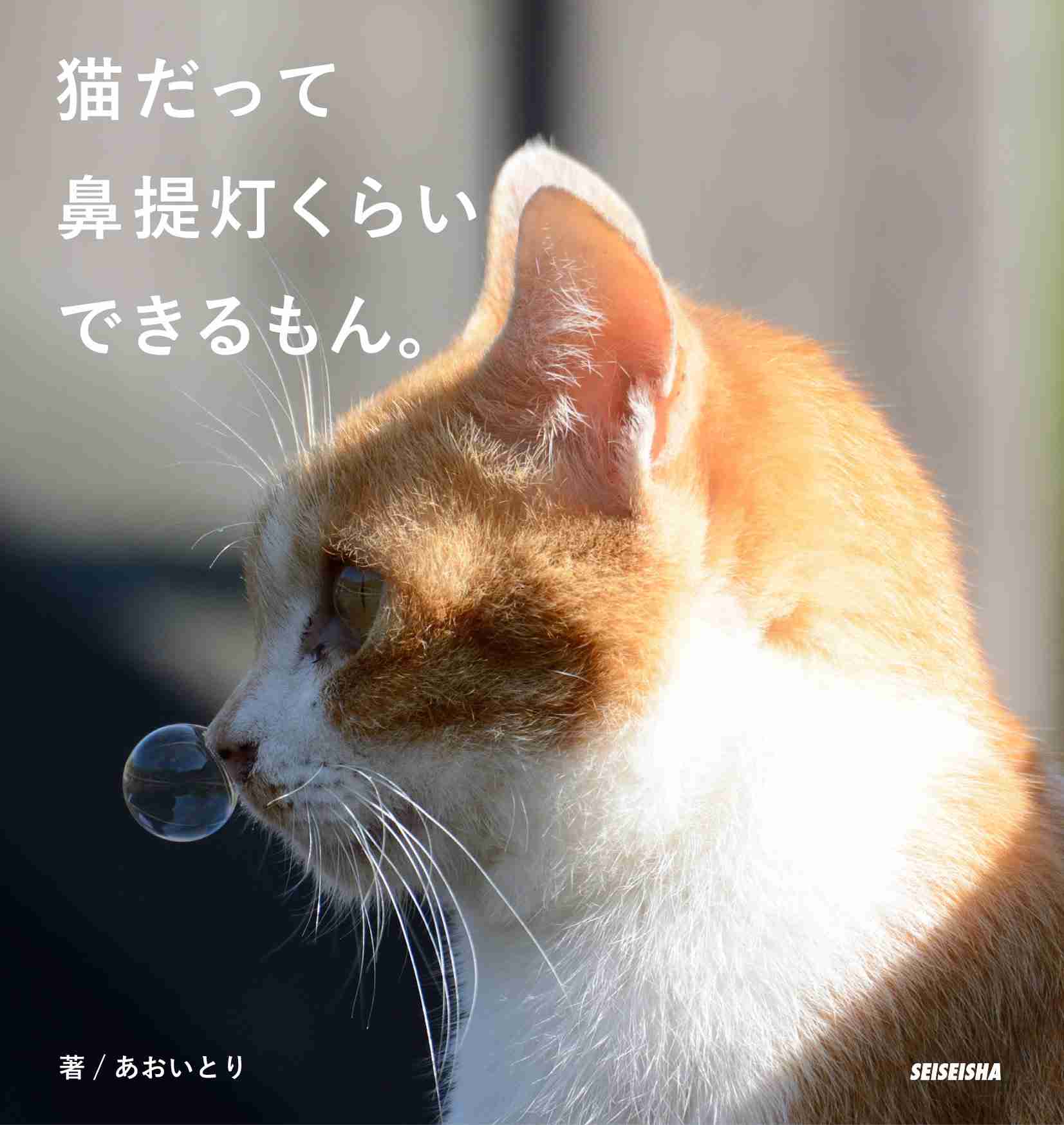 ガルちゃん猫カフェ30号店 開店しました♪ (初めての方も大歓迎！)