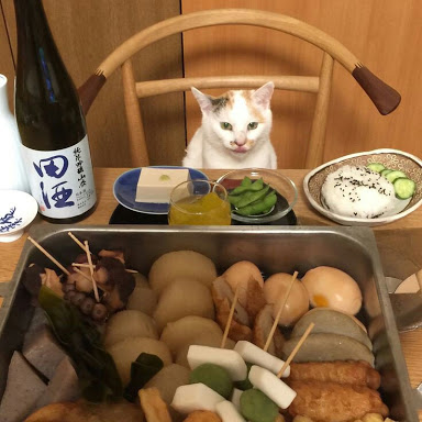ガルちゃん猫カフェ30号店 開店しました♪ (初めての方も大歓迎！)