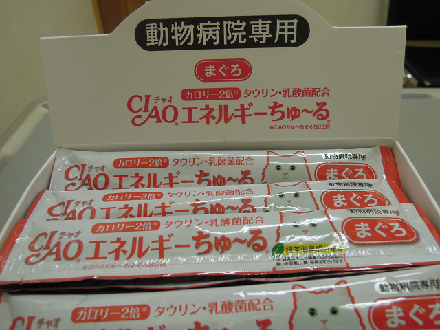 ガルちゃん猫カフェ30号店 開店しました♪ (初めての方も大歓迎！)