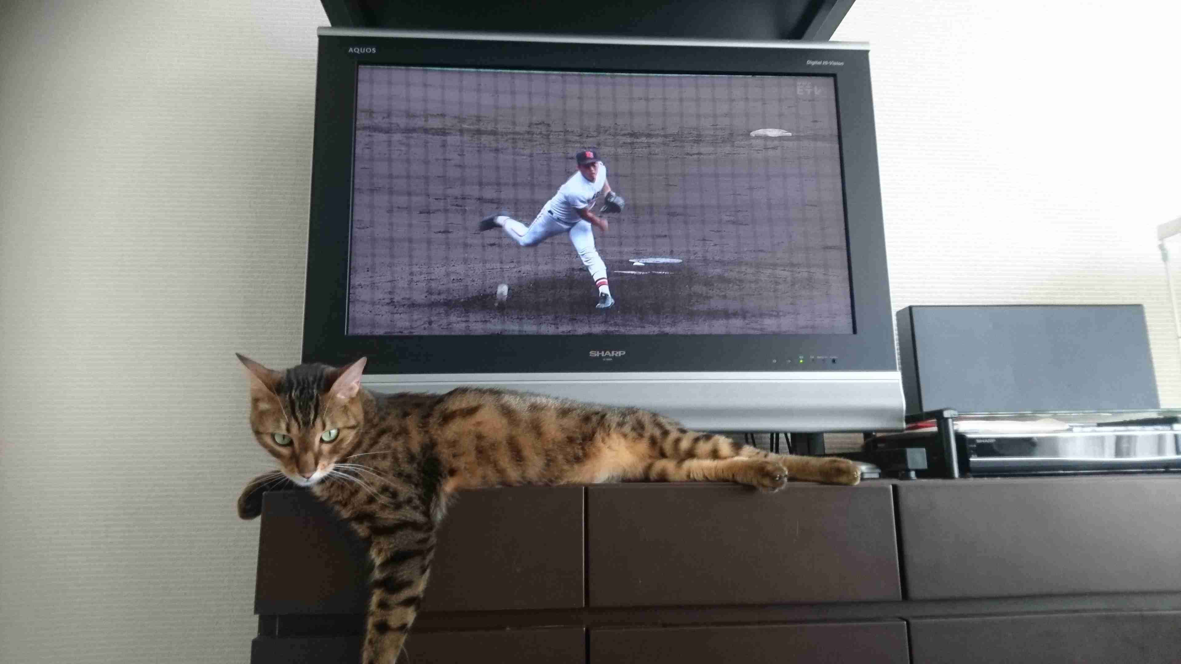 【実況・感想】第100回全国高校野球選手権大会 11日目