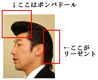 みやぞん 24時間TVトライアスロンはリーゼント封印、サラサラヘアでゴール優先!