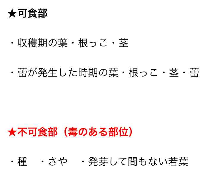 【必見】知らないと死ぬ! モロヘイヤのココは絶対に食べないでください「食べると死にます」