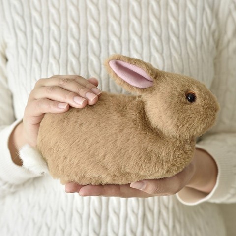可愛いウサギさんの画像が集まるトピ