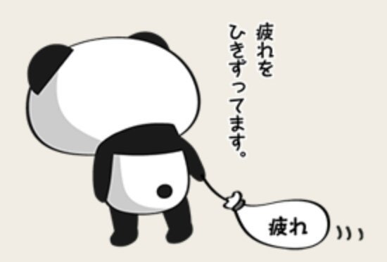 【楽天】お買いものパンダ好きな方 2018 Summer