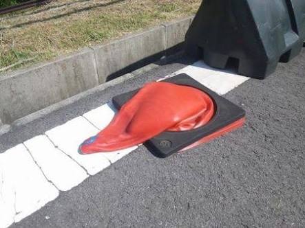 夏バテしてそうな画像を貼るトピ