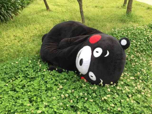 夏バテしてそうな画像を貼るトピ