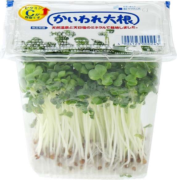 会話が続かない人