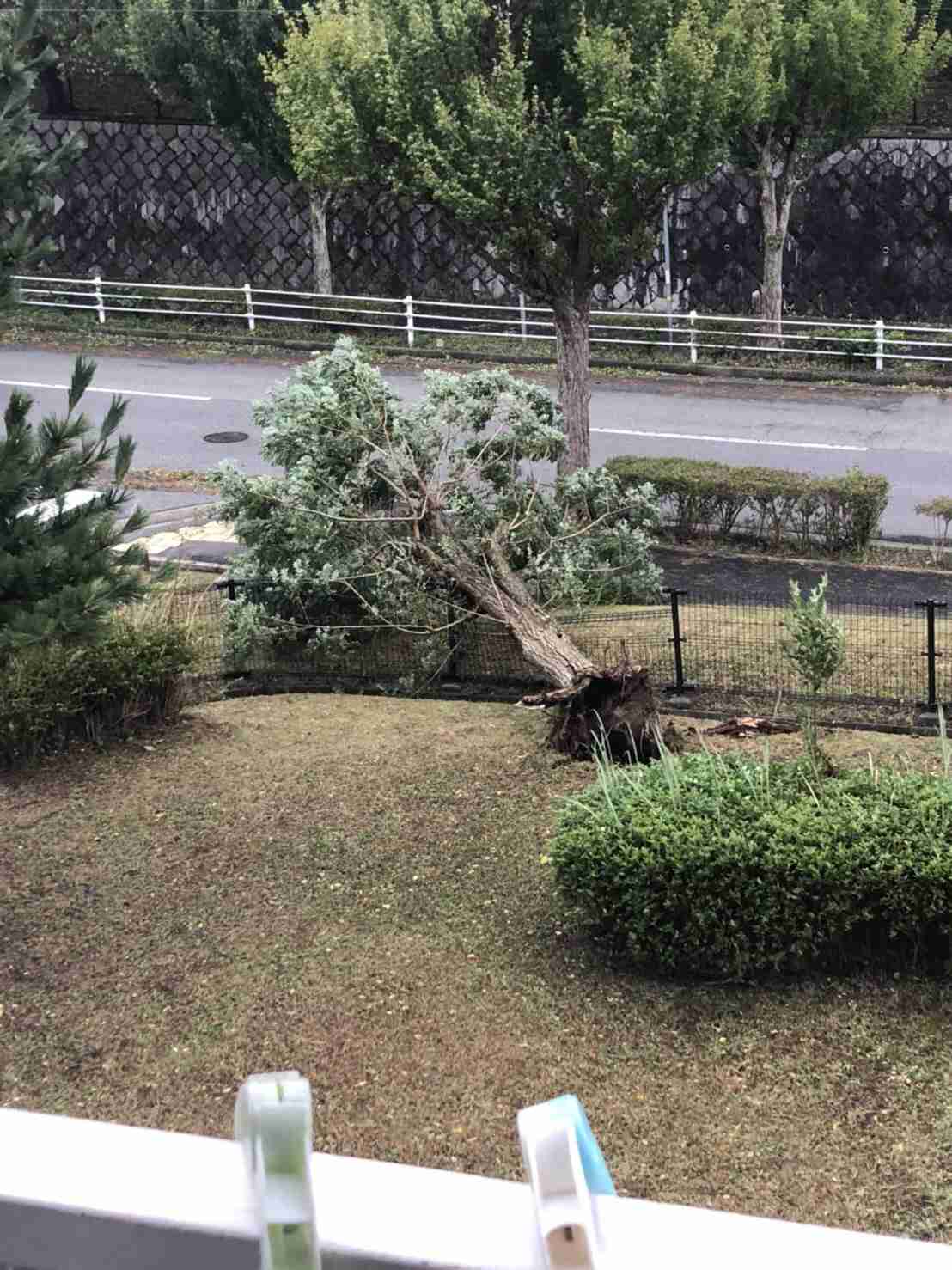 【情報共有】台風20号